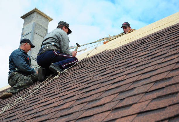 Best Roof Gutter Cleaning  in Reisterstown, MD